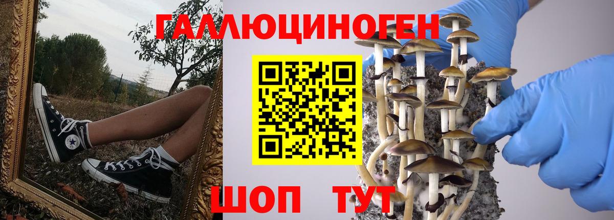 Псилоцибиновые грибы MAGIC MUSHROOMS Клинцы