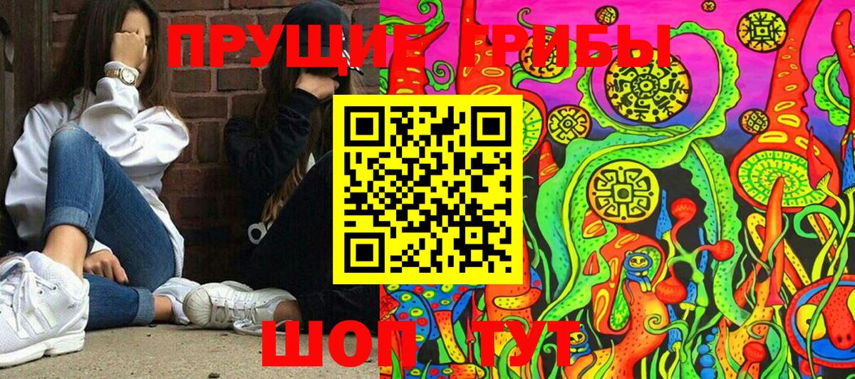 Клинцы  Псилоцибиновые грибы Magic Shrooms  Вход с VPN 